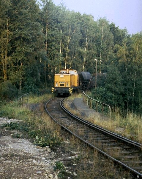 <b>Ein Zug mit Lok 106 290-0 und Kohlewagen hat an einem Septembermorgen 1991 auf der Bergfahrt nach Dresden-Gittersee gleich die Brücke am Kesselgrund erreicht.</b><br /><i>Foto: Klaus Gottschling</i>